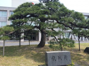 鳥取DC