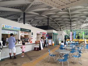 写真 2
