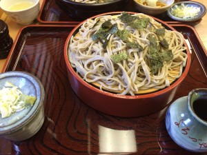 anatanosobagawii