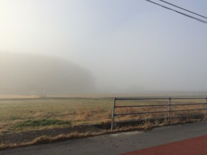 2015-01-07 09.09.40