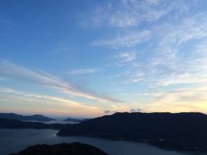 IMG_2978