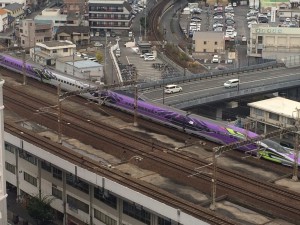 IMG_5275