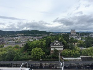 IMG_0345