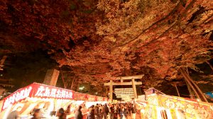 ookunitama-torinoichi